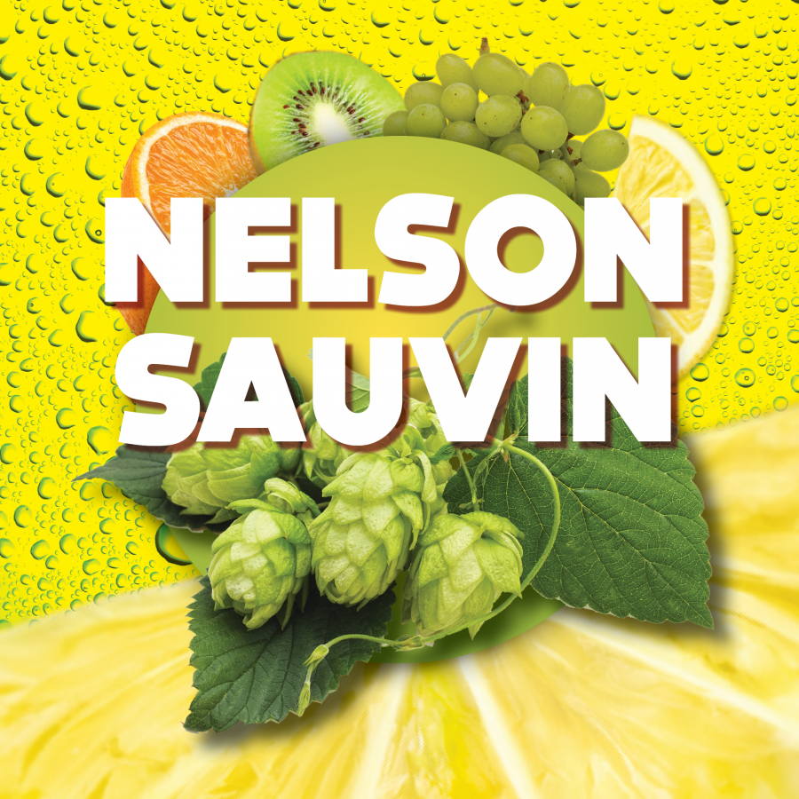 Houblon en pellets Nelson Sauvin 100 g