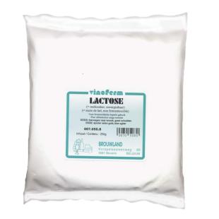 lactose (sucre de lait) VINOFERM 1 kg